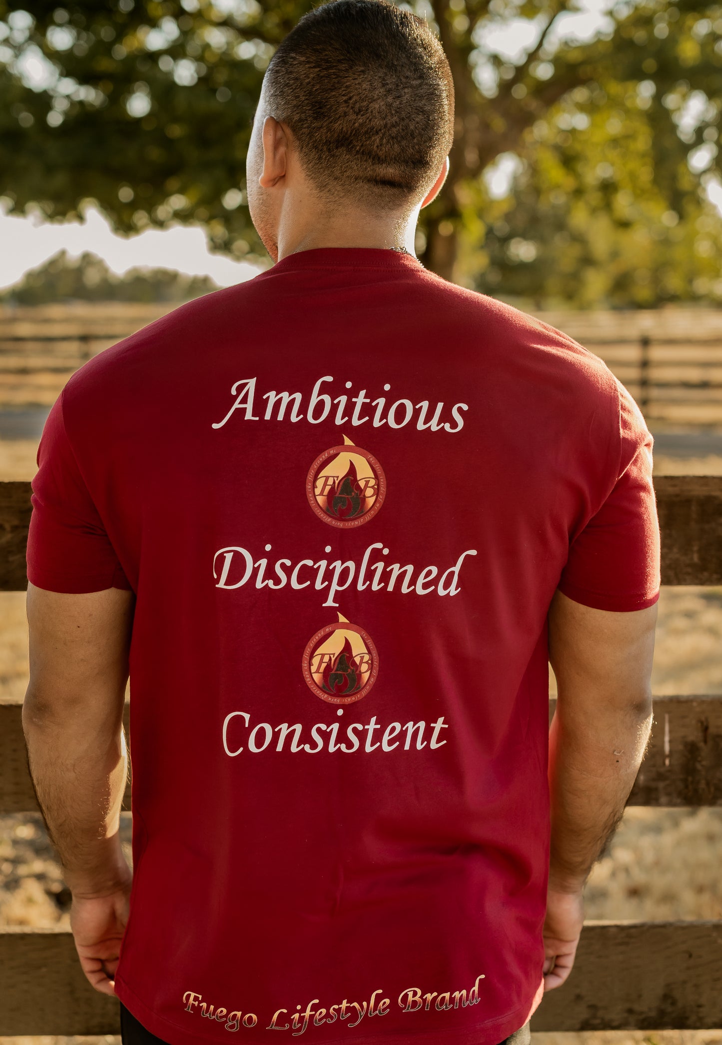 Ambitious Disciplined Consistent